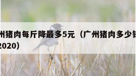 广州猪肉每斤降最多5元（广州猪肉多少钱一斤2020）