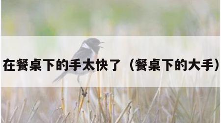 在餐桌下的手太快了（餐桌下的大手）