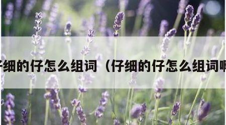 仔细的仔怎么组词（仔细的仔怎么组词啊）