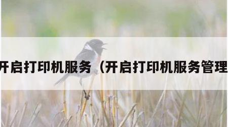 开启打印机服务（开启打印机服务管理）
