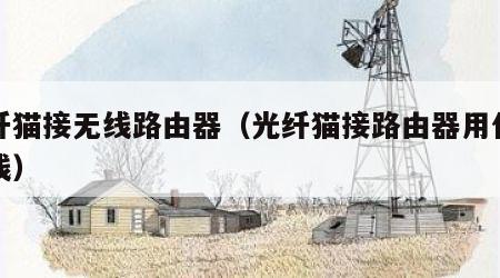 光纤猫接无线路由器（光纤猫接路由器用什么网线）