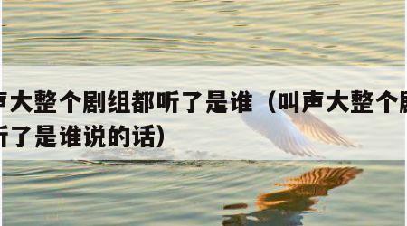 叫声大整个剧组都听了是谁（叫声大整个剧组都听了是谁说的话）
