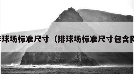 排球场标准尺寸（排球场标准尺寸包含网）
