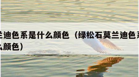 莫兰迪色系是什么颜色（绿松石莫兰迪色系是什么颜色）