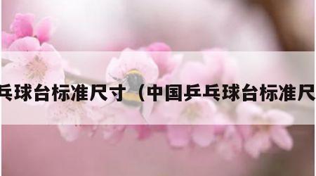 乒乓球台标准尺寸（中国乒乓球台标准尺寸）