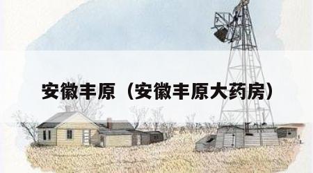 安徽丰原（安徽丰原大药房）