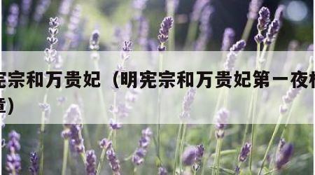 明宪宗和万贵妃（明宪宗和万贵妃第一夜相关文章）