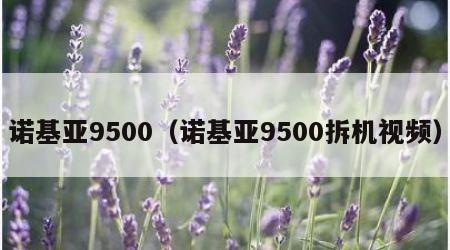 诺基亚9500（诺基亚9500拆机视频）