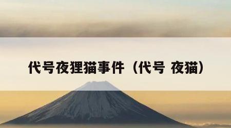 代号夜狸猫事件（代号 夜猫）