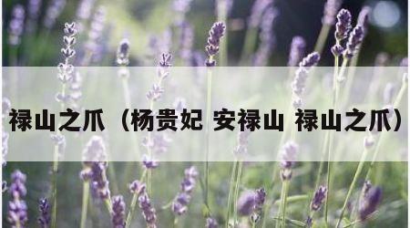禄山之爪（杨贵妃 安禄山 禄山之爪）
