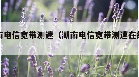湖南电信宽带测速（湖南电信宽带测速在线官网）