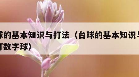 台球的基本知识与打法（台球的基本知识与打法打数字球）