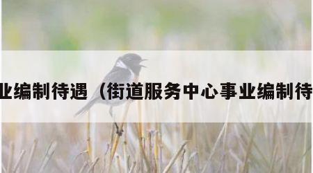事业编制待遇（街道服务中心事业编制待遇）