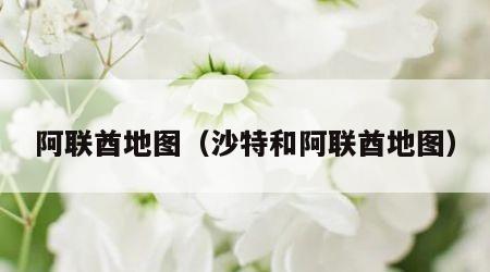 阿联酋地图（沙特和阿联酋地图）