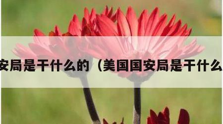 国安局是干什么的（美国国安局是干什么的）