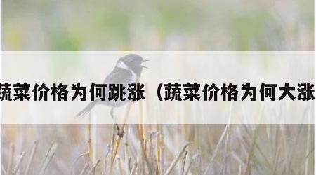 蔬菜价格为何跳涨（蔬菜价格为何大涨）