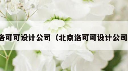 洛可可设计公司（北京洛可可设计公司）