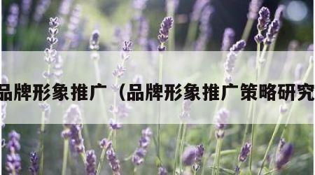 品牌形象推广（品牌形象推广策略研究）