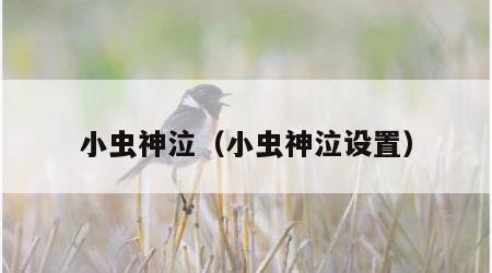 小虫神泣（小虫神泣设置）