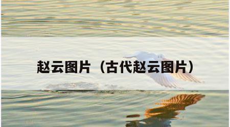 赵云图片（古代赵云图片）