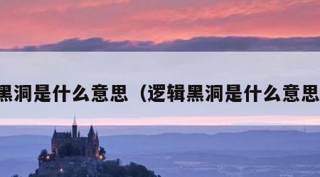 黑洞是什么意思（逻辑黑洞是什么意思）
