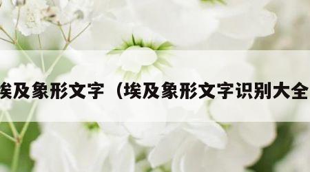 埃及象形文字（埃及象形文字识别大全）