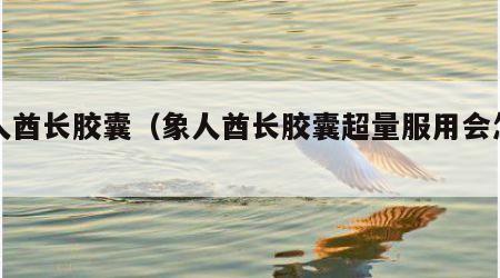 象人酋长胶囊（象人酋长胶囊超量服用会怎样）
