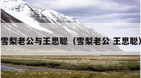 雪梨老公与王思聪（雪梨老公 王思聪）
