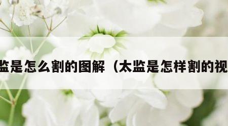 太监是怎么割的图解（太监是怎样割的视频）
