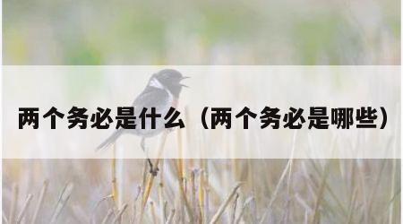 两个务必是什么（两个务必是哪些）