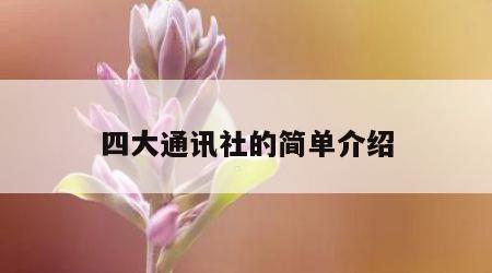 四大通讯社的简单介绍