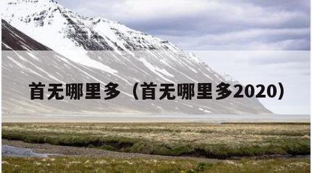 首无哪里多（首无哪里多2020）