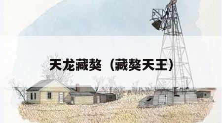 天龙藏獒（藏獒天王）