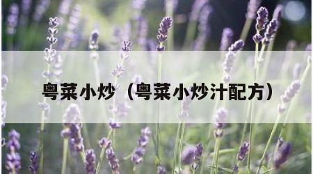 粤菜小炒（粤菜小炒汁配方）