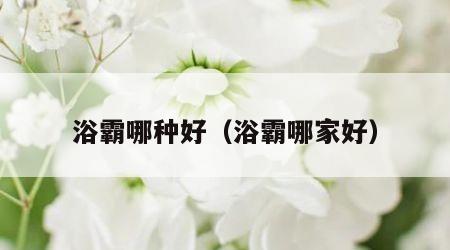 浴霸哪种好（浴霸哪家好）