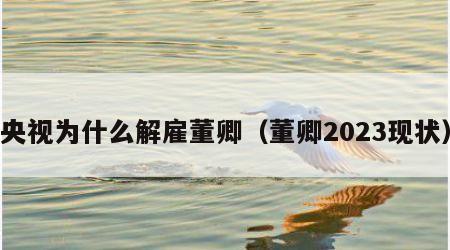 央视为什么解雇董卿（董卿2023现状）