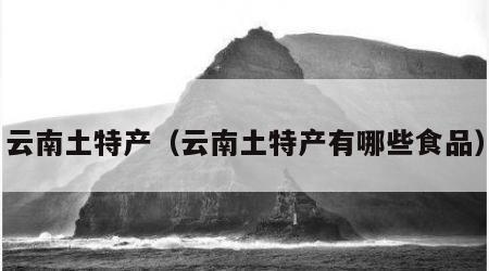 云南土特产（云南土特产有哪些食品）
