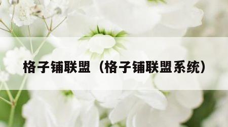 格子铺联盟（格子铺联盟系统）