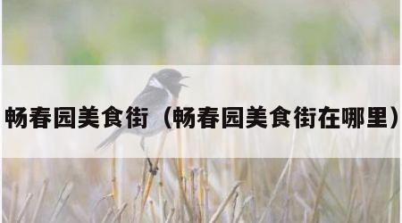 畅春园美食街（畅春园美食街在哪里）
