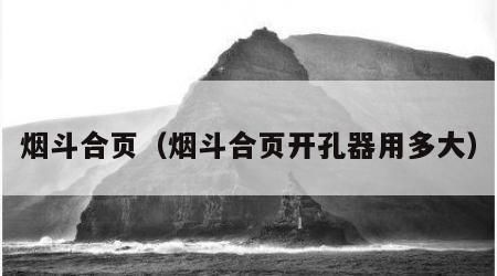 烟斗合页（烟斗合页开孔器用多大）