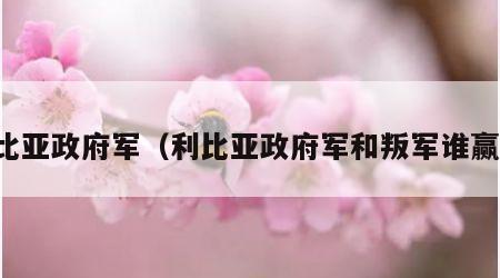 利比亚政府军（利比亚政府军和叛军谁赢了）