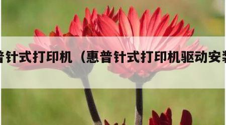 惠普针式打印机（惠普针式打印机驱动安装教程）