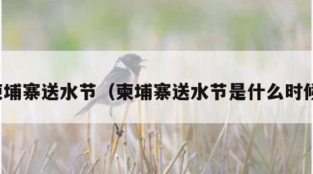 柬埔寨送水节（柬埔寨送水节是什么时候）