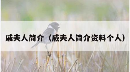 戚夫人简介（戚夫人简介资料个人）