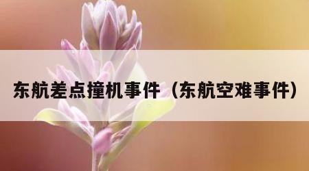 东航差点撞机事件（东航空难事件）