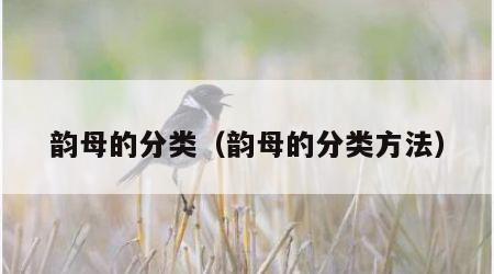 韵母的分类（韵母的分类方法）