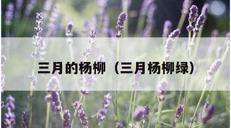 三月的杨柳（三月杨柳绿）