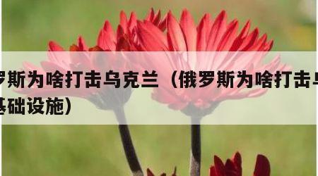 俄罗斯为啥打击乌克兰（俄罗斯为啥打击乌克兰基础设施）