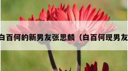 白百何的新男友张思麟（白百何现男友）