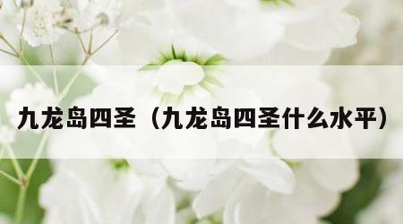 九龙岛四圣（九龙岛四圣什么水平）
